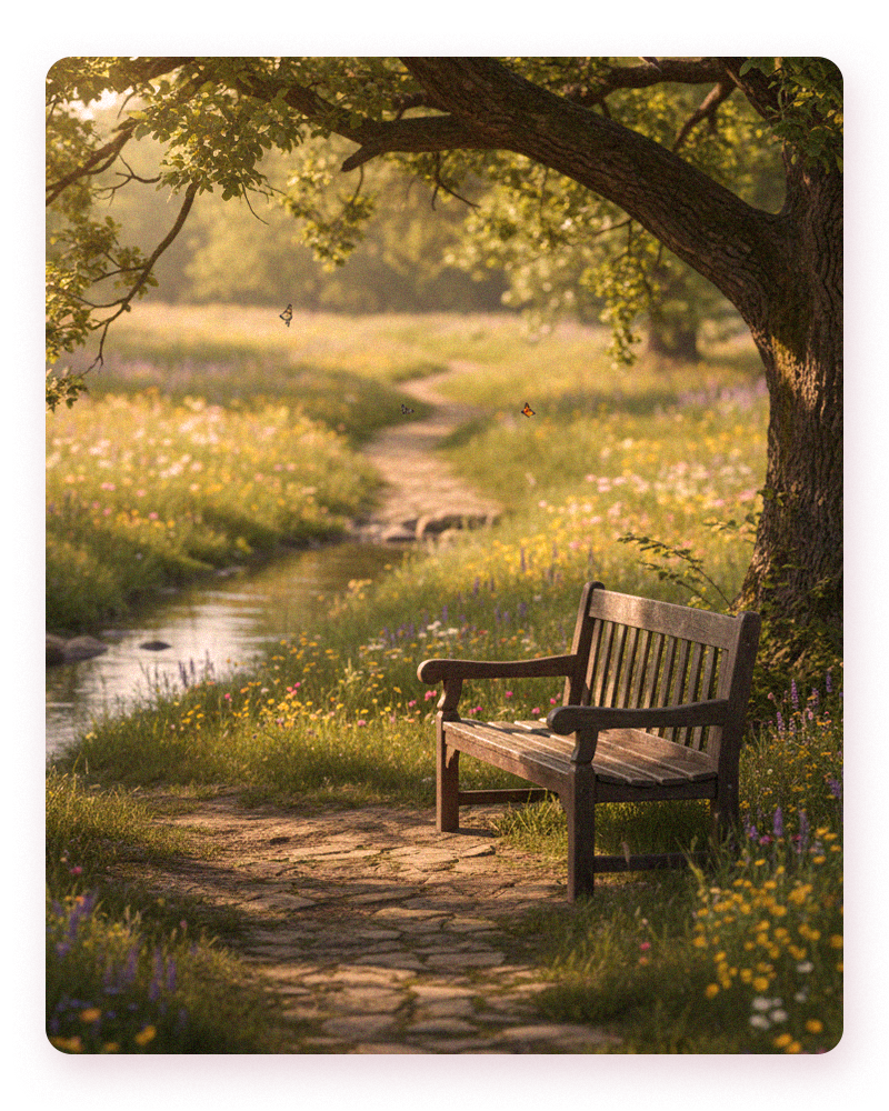 A serene bench under a tree