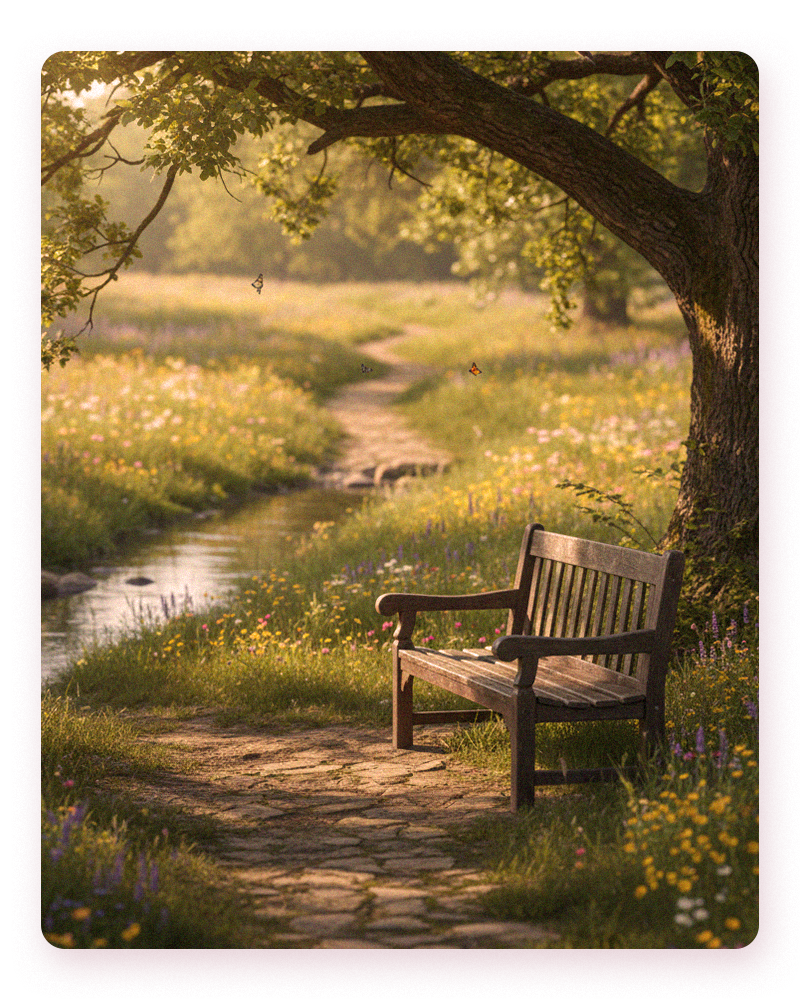 A serene bench under a tree